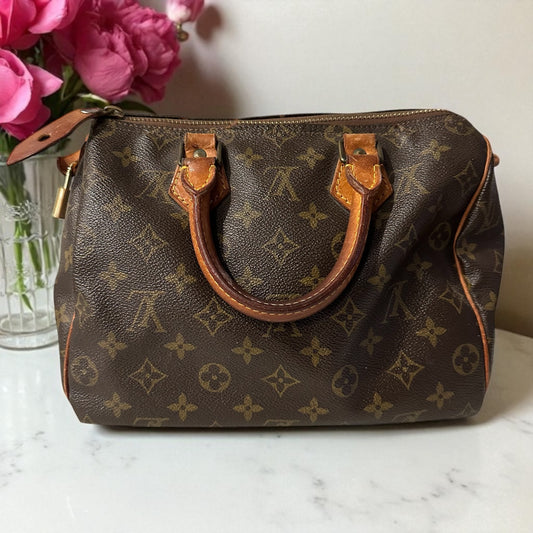Louis Vuitton Speedy 25 - Collector's Piece of the Month (Not for Sale)